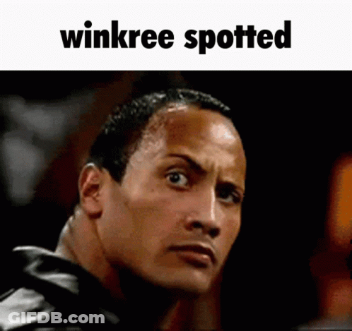 Winkree Spotted Above Man's Face GIF