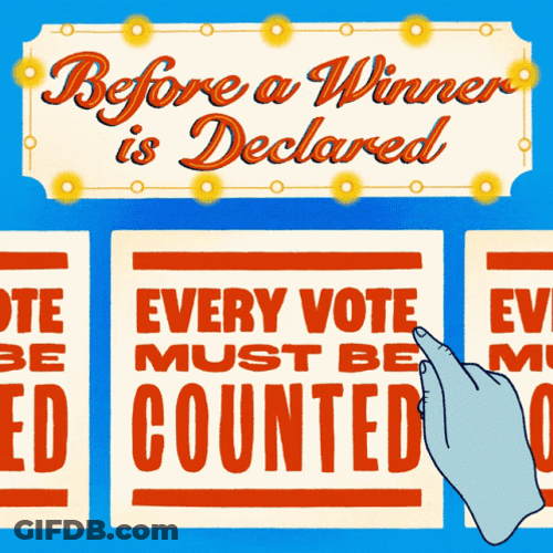 Winner Election Vote GIF