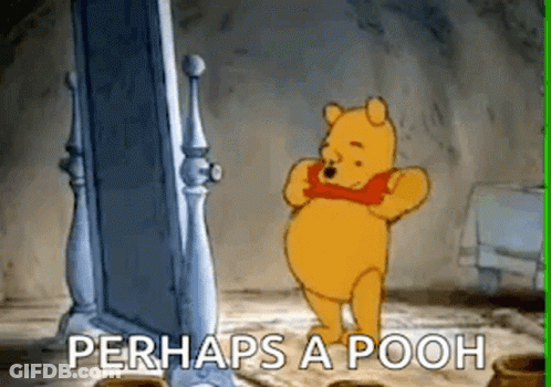 Winnie Pooh Before Mirror Saying Perhaps A Pooh GIF