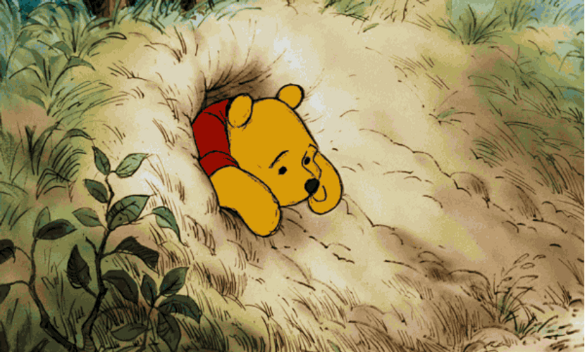 Winnie The Pooh And Christopher Robin GIF