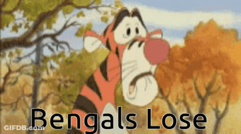 Winnie The Pooh Bengals Lose GIF