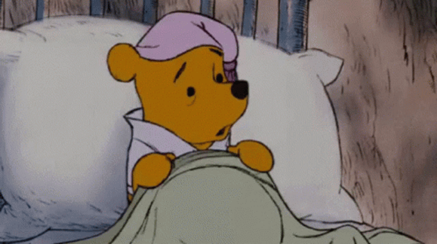 Winnie The Pooh Blanket Hide GIF