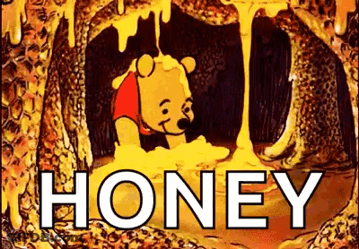 Winnie The Pooh Covered In Honey GIF