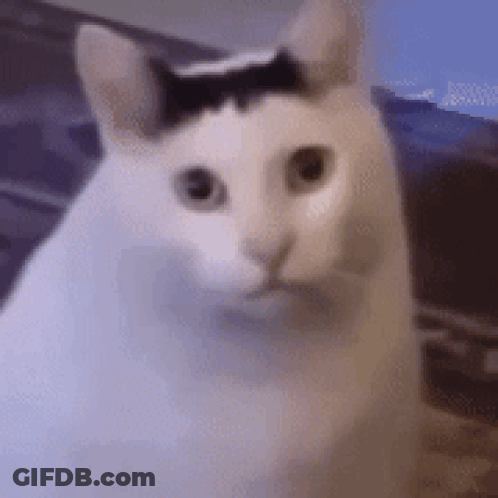 Winnie The Pooh Dancing Get Your Pooh On GIF