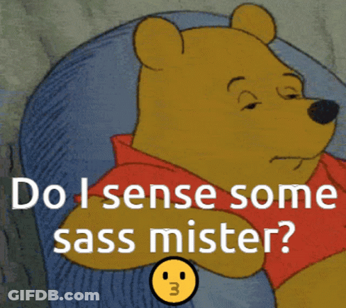 Winnie The Pooh Do I Sense Some Sass Mister GIF