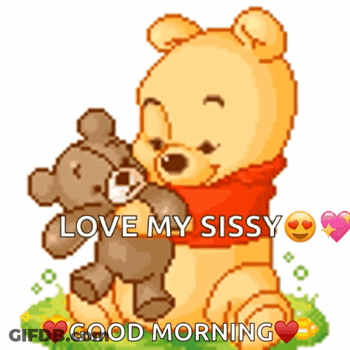 Winnie The Pooh Hugging Teddy Bear Love My Sissy GIF