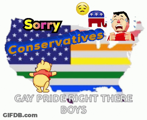 Winnie The Pooh In Front Of American Flag Saying Sorry Conservatives GIF