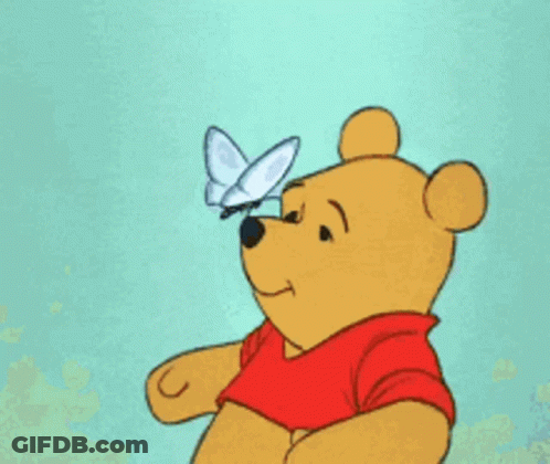 Winnie The Pooh Looking At Butterfly GIF