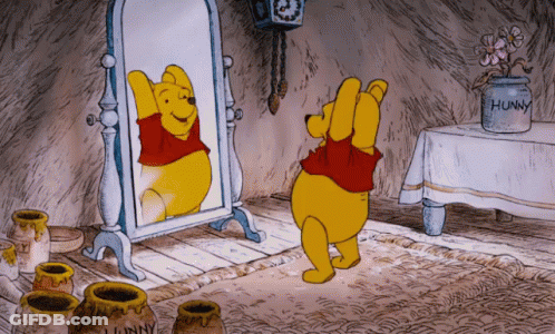 Winnie The Pooh Looking In Mirror GIF
