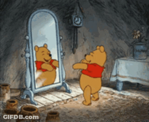 Winnie The Pooh Mirror Selfie GIF