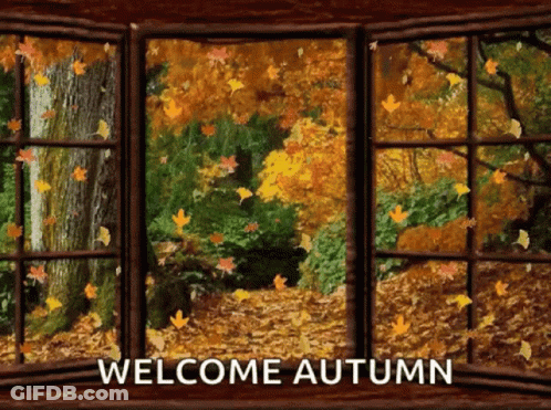 Winnie The Pooh Says First Day Of Autumn GIF