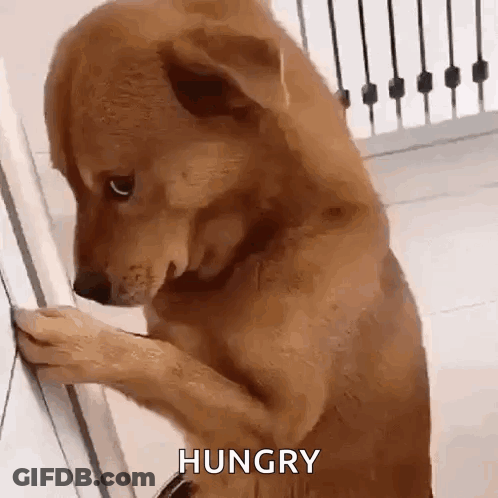 Winnie The Pooh Sitting At Table GIF