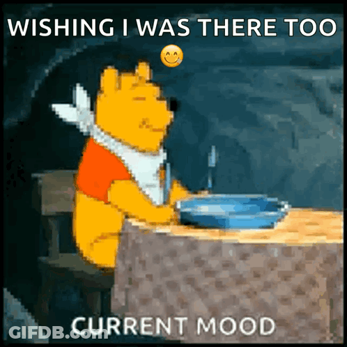 Winnie The Pooh Wishing I Was There Too GIF
