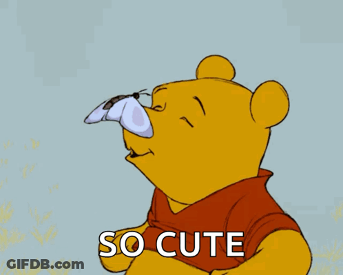 Winnie The Pooh With A Butterfly On His Nose And The Words So Cute GIF