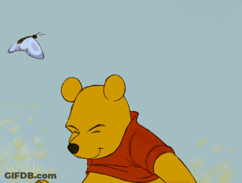 Winnie The Pooh With Blue Butterfly On Nose GIF