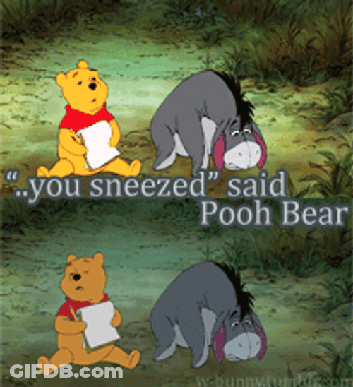 Winnie To Eeyore You Sneezed GIF