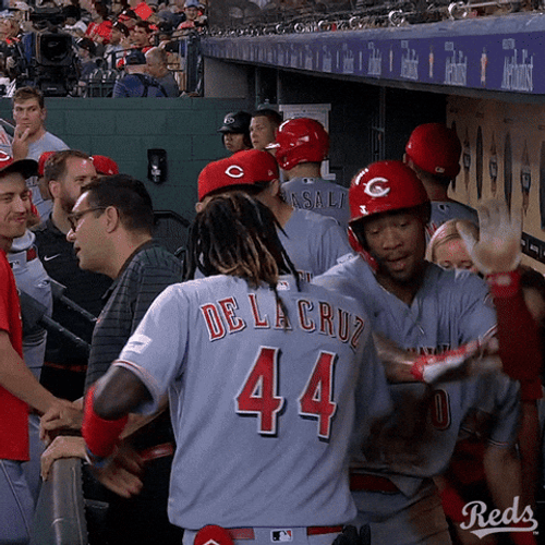 Winning Reaction Elly De La Cruz GIF