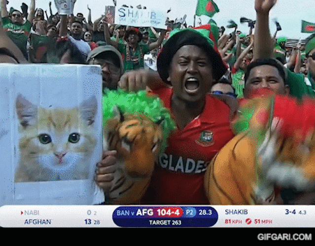 Winning Recation Crickets Meme Game Fans GIF