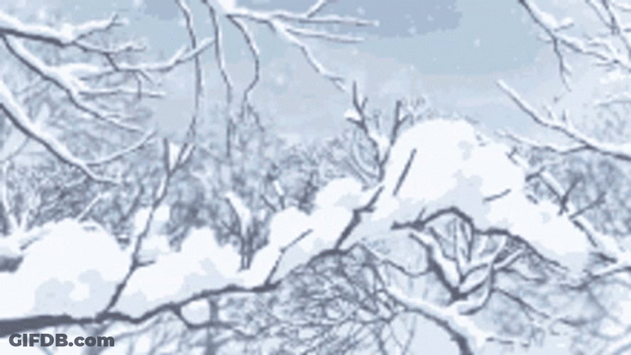 Winter Anime Snow On Tree Branch GIF