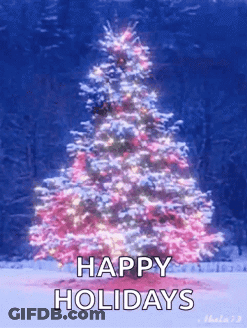 Winter Break Christmas Tree Lighting Up Spinning GIF