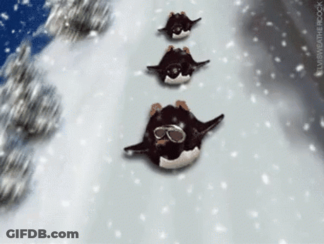 Winter Break Penguin Slides Down Mountain GIF