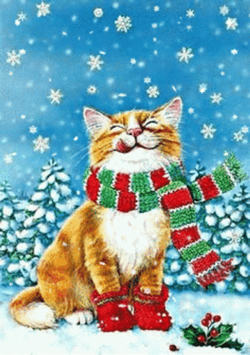 Winter Christmas Cat Smiling GIF