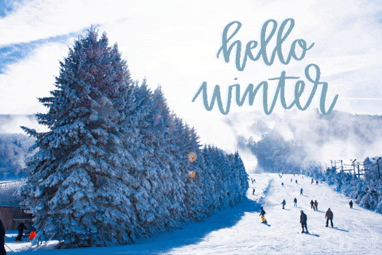 Winter Christmas Greeting Landscape GIF