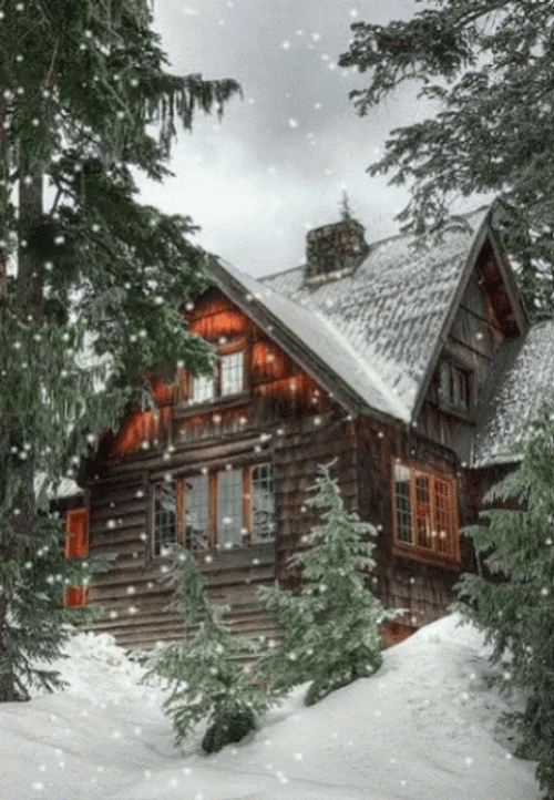 Winter Christmas Snow Season GIF
