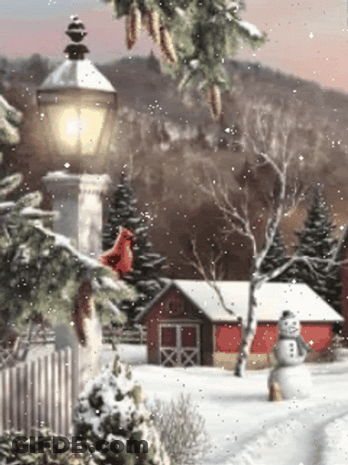 Winter Christmas With Falling Snow Scene GIF
