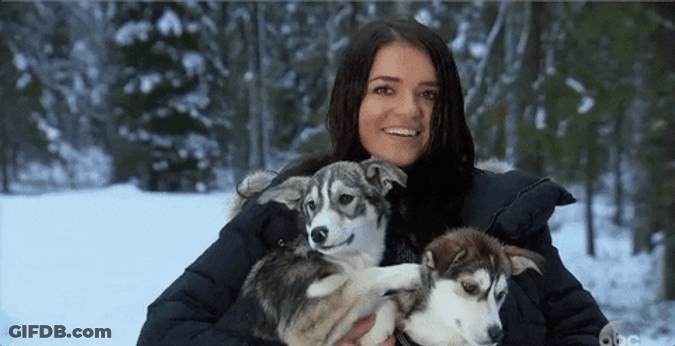 Winter Cuddles With Husky Puppies GIF