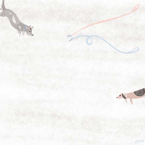 Winter Dogs Play Animated GIF