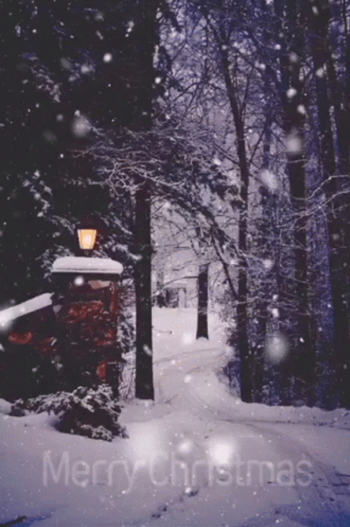 Winter Feels Snow Falling GIF