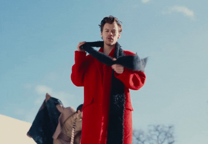 Winter Harry Styles As It Was GIF