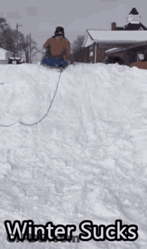 Winter Snow GIF