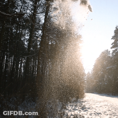 Winter Solstice Christmas December GIF