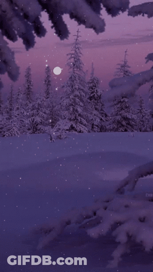 Winter Solstice Snowy Starry Night GIF