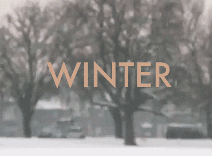 Winter Text Snowfall GIF
