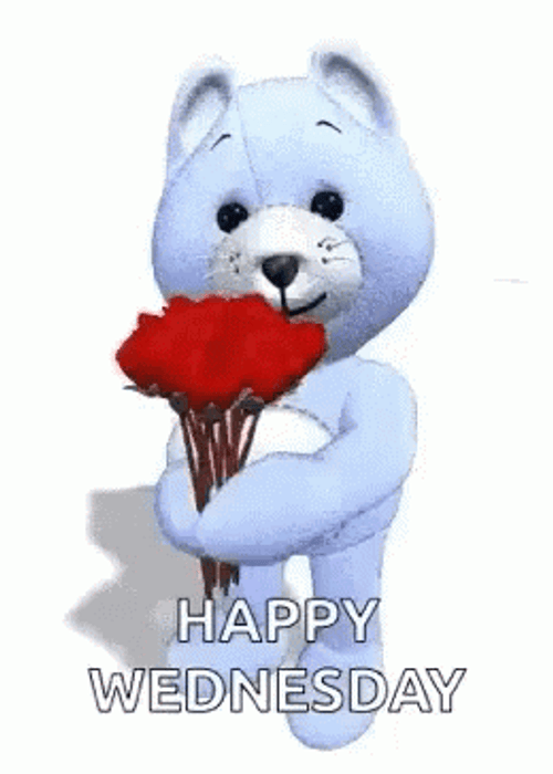 Winter Wednesday Flowers For You GIF