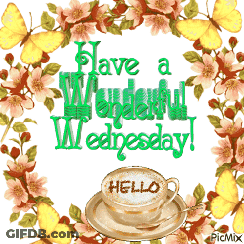 Winter Wednesday Hello GIF