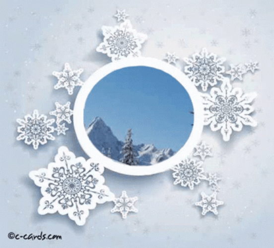Winter Wednesday Snowball Fight GIF