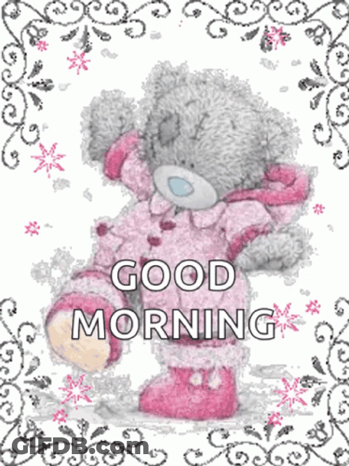 Winter Wednesday Teddy Pink GIF