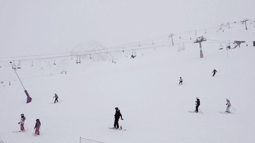 Winter Wonderland Skiing GIF