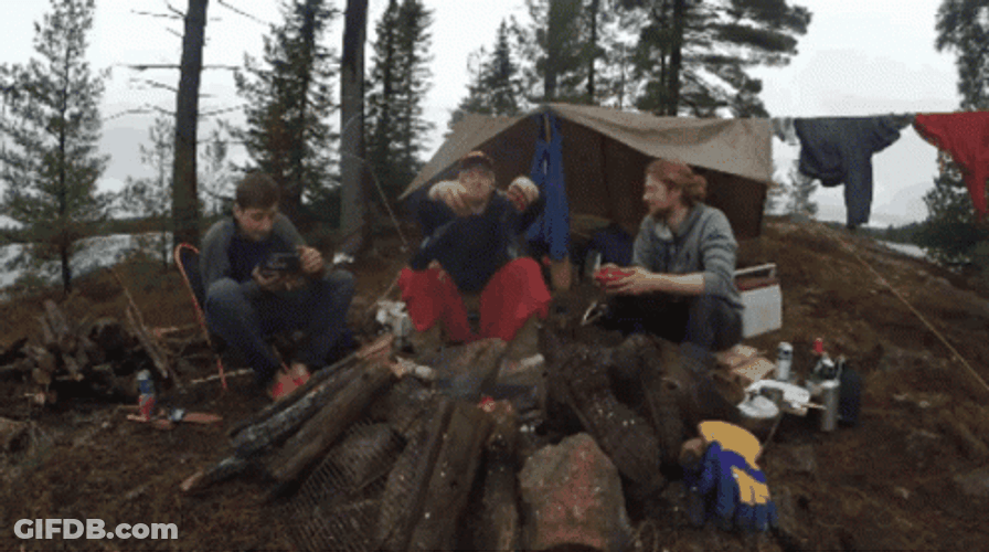 Winter Woods Camping Nature Lovers GIF