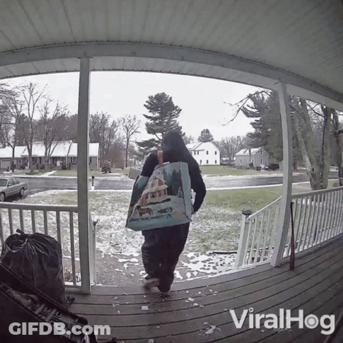 Wioman Slipped At Porch GIF