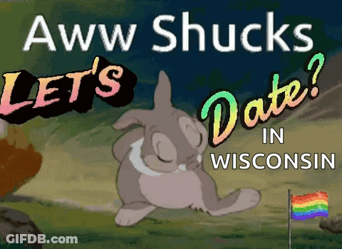 Wisconsin Voting Rights Green Background Poster GIF