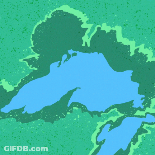 Wisconsin Voting Rights Poster Green Background GIF