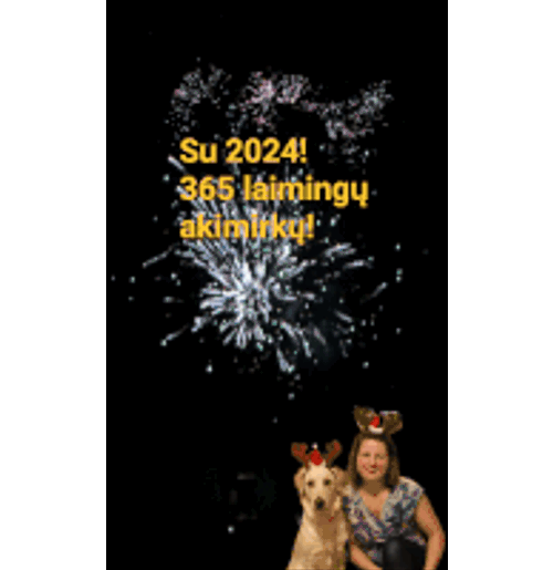 Wish Sveikinimai Sticker GIF