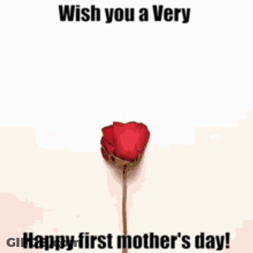 Wish You A Very Happy First Mothers Day GIF