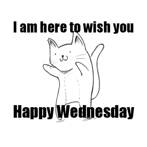 Wish You Happy Wednesday Morning Funny GIF