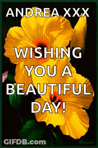 Wishing Beautiful Day With Yellow Flowers For Andrea GIF